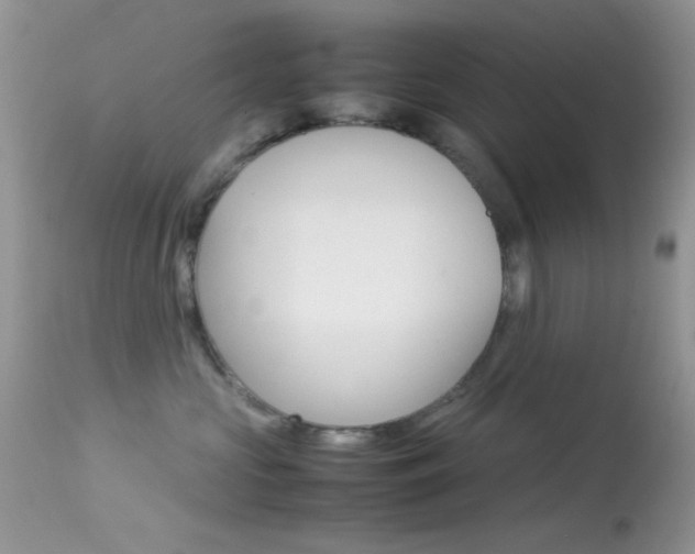 X0000113620573200909181119