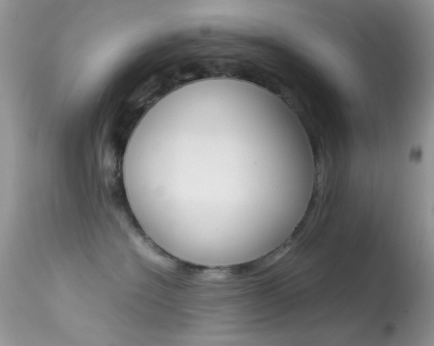 X0000113620574200909181119