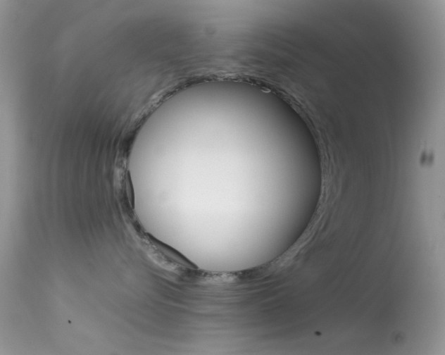 X0000113620576200909181119