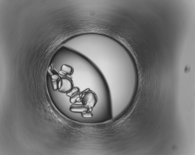 X0000113620577200909181118