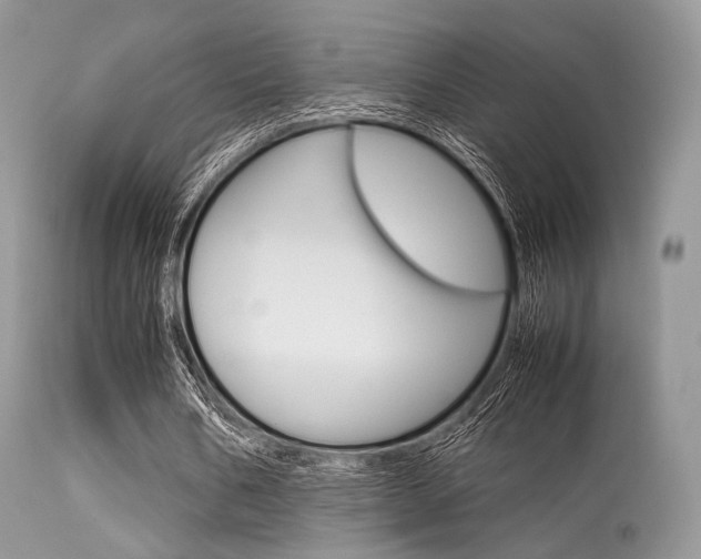 X0000113620578200909181118