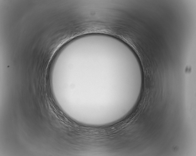 X0000113620579200909181118