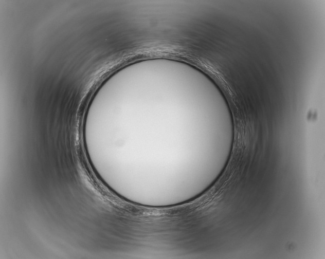 X0000113620582200909181118