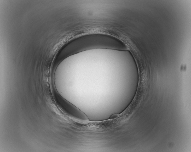 X0000113620585200909181118