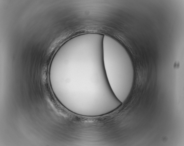 X0000113620586200909181118