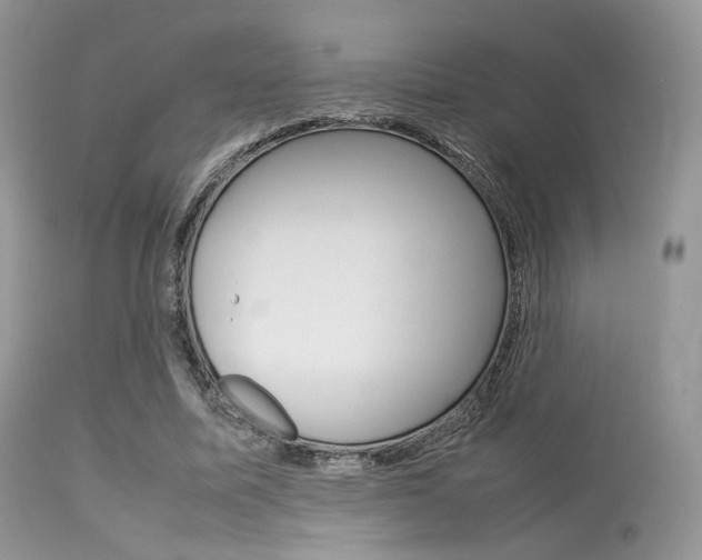 X0000113620587200909181118