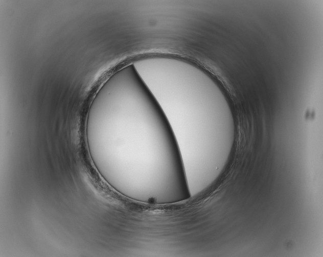 X0000113620588200909181118