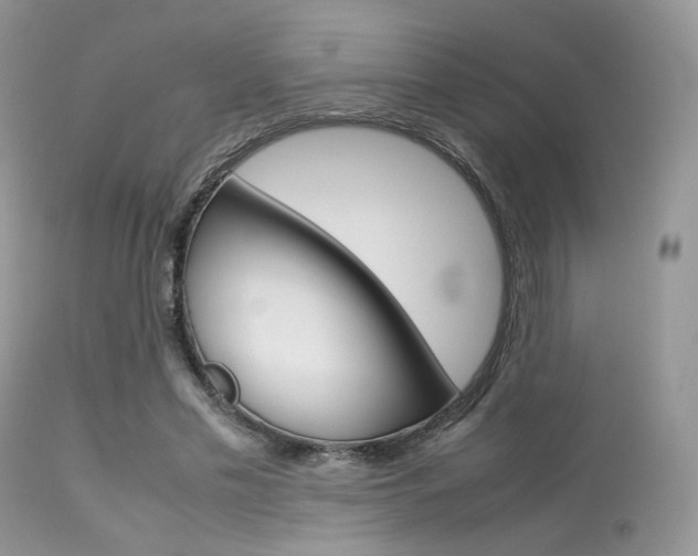 X0000113620589200909181118