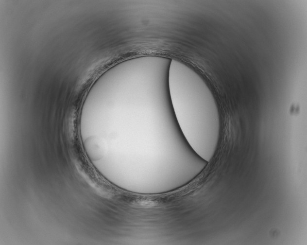 X0000113620590200909181118