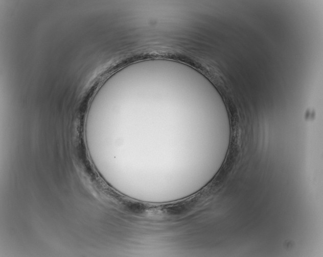 X0000113620591200909181118