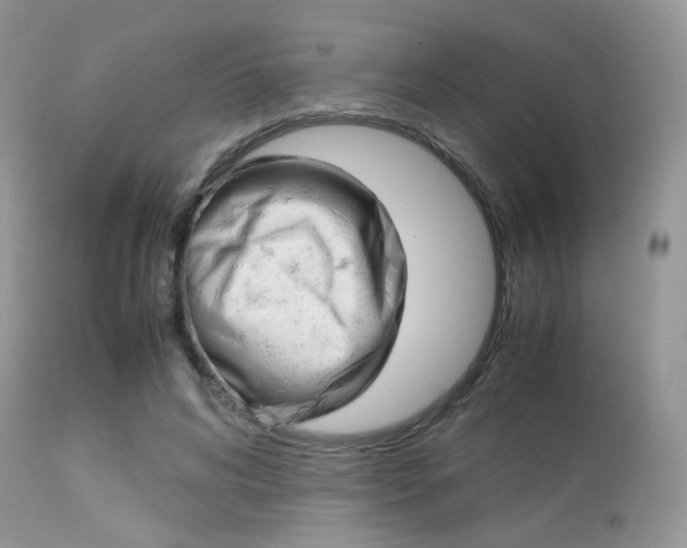 X0000113620592200909181118