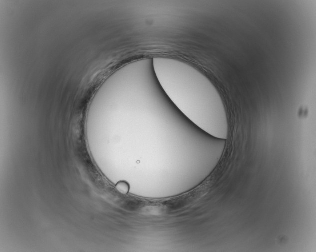 X0000113620595200909181118