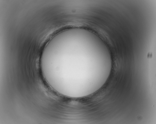 X0000113620596200909181118