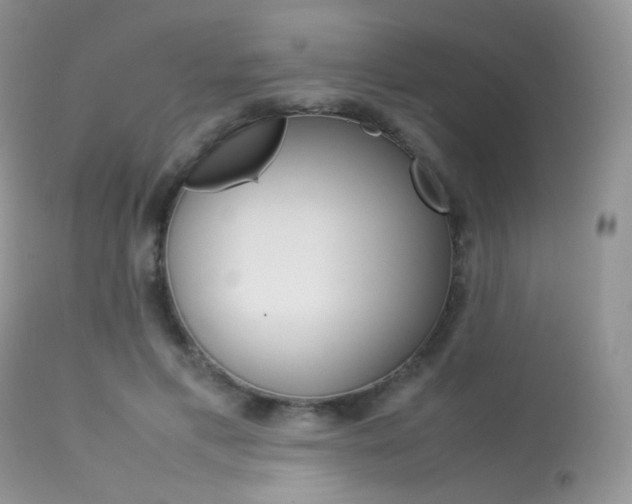 X0000113620597200909181118