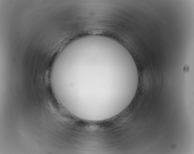 X0000113620598200909181117