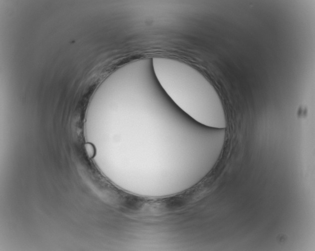 X0000113620599200909181117