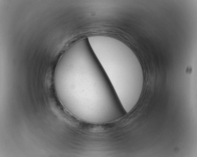 X0000113620600200909181117