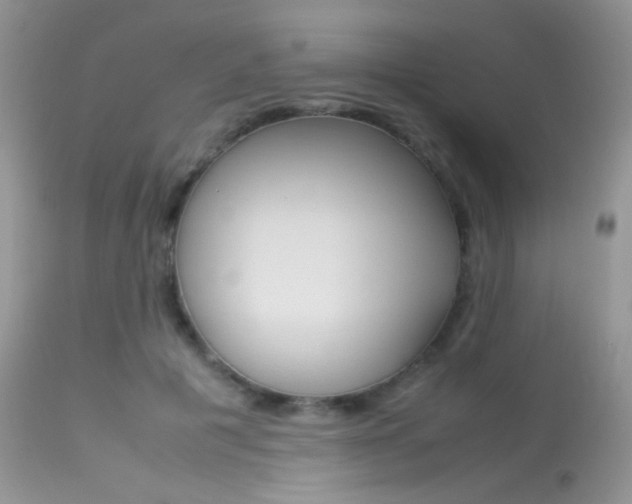 X0000113620601200909181117