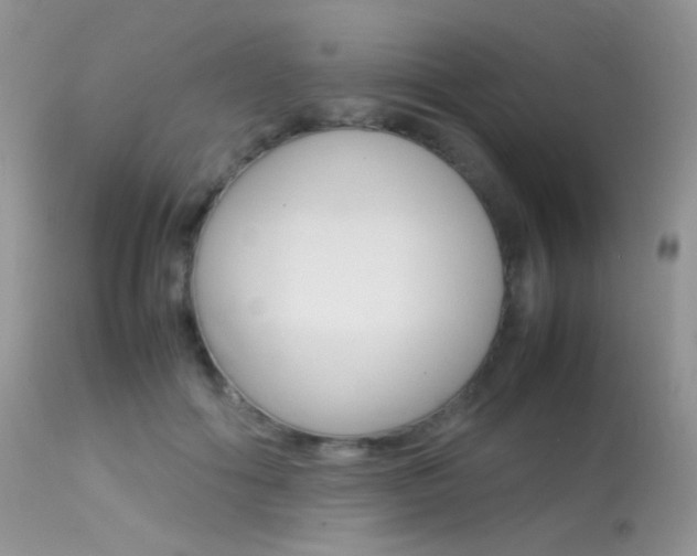 X0000113620602200909181117