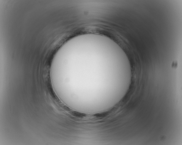 X0000113620603200909181117