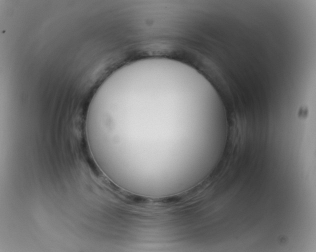 X0000113620604200909181117