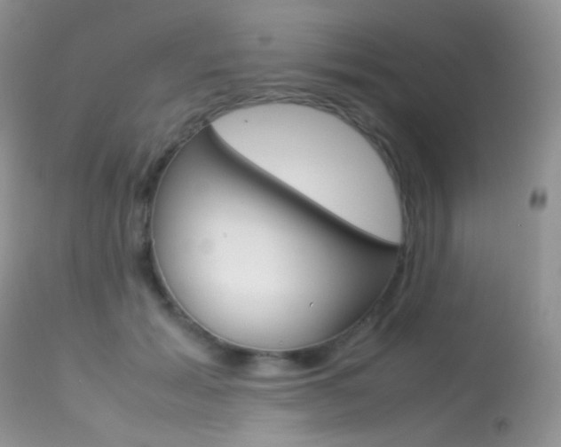 X0000113620605200909181117