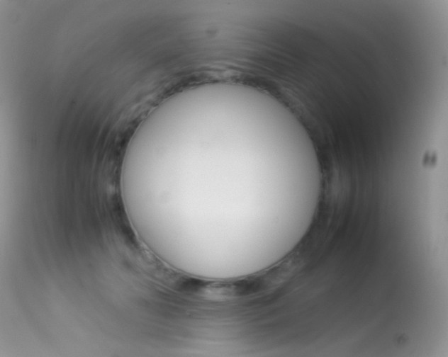 X0000113620606200909181117