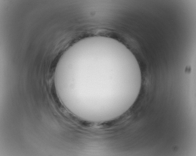 X0000113620607200909181117