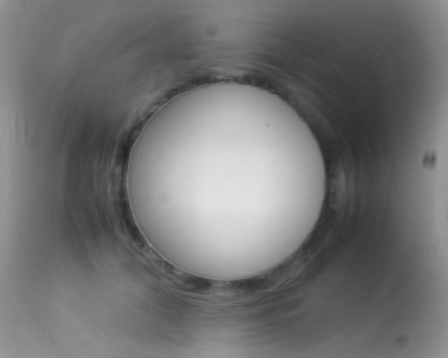 X0000113620608200909181117