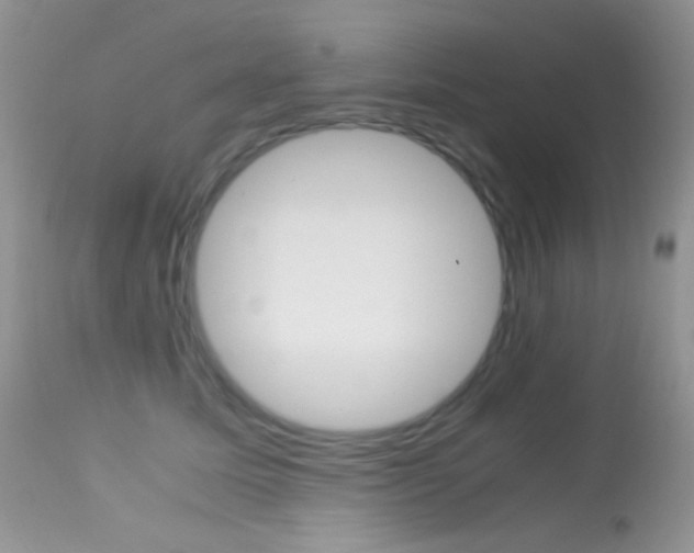 X0000113620611200909181117