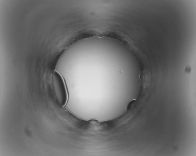 X0000113620613200909181117