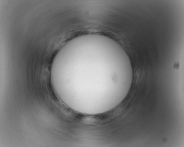 X0000113620614200909181117