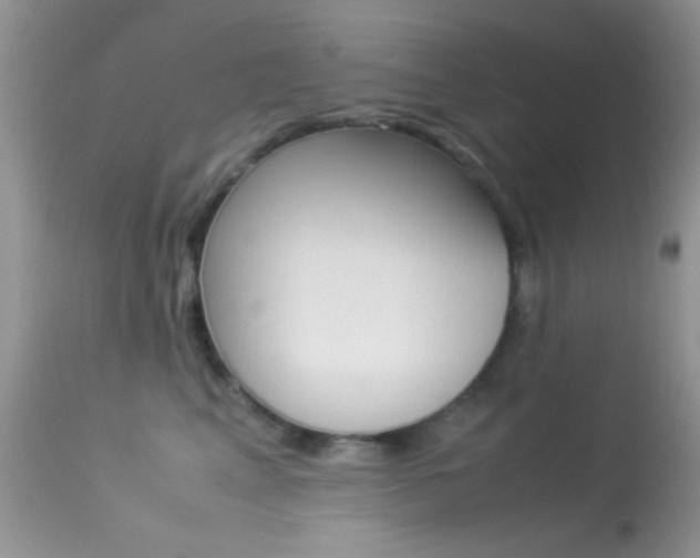 X0000113620617200909181117