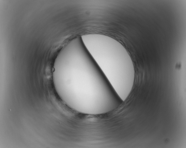 X0000113620620200909181117