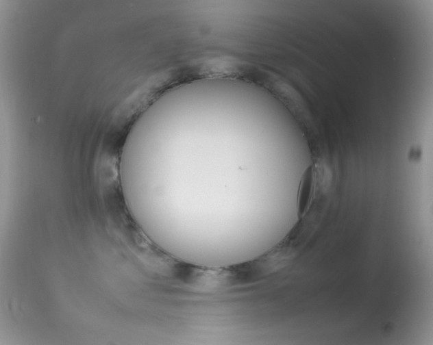 X0000113620621200909181117