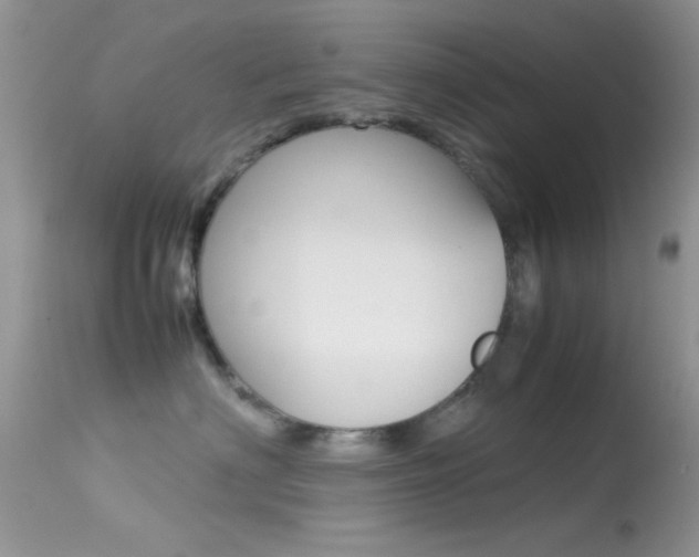 X0000113620622200909181117