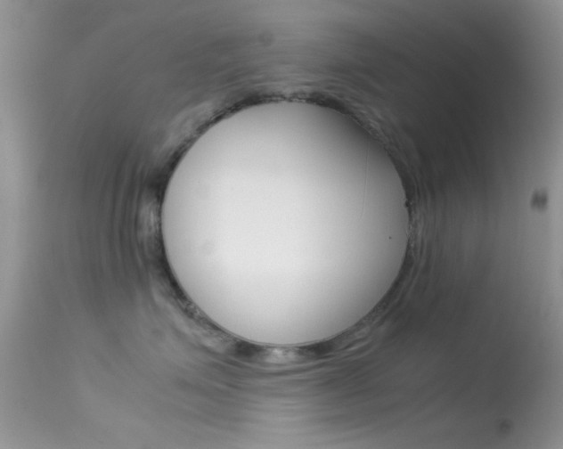 X0000113620623200909181117