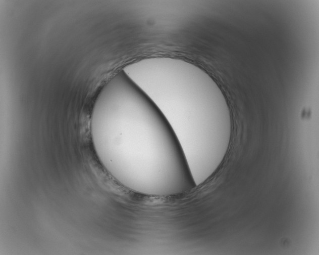 X0000113620624200909181117