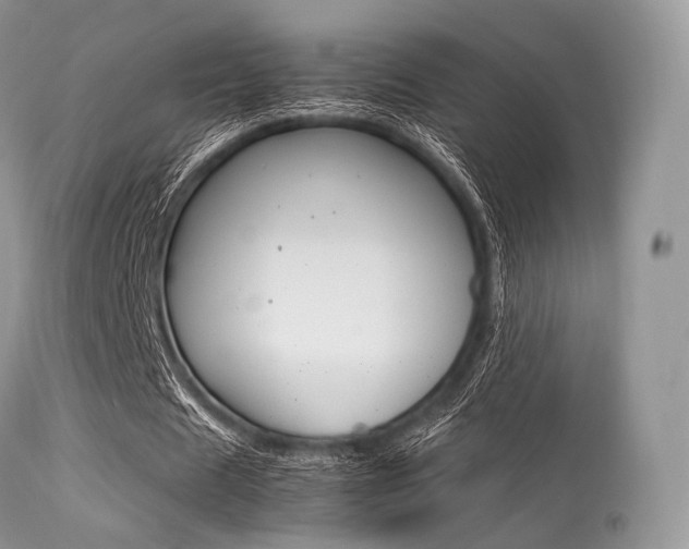 X0000113620625200909181116