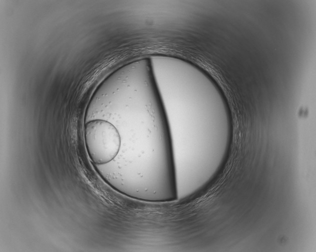 X0000113620626200909181116