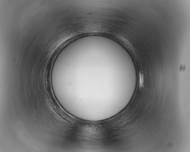 X0000113620627200909181117