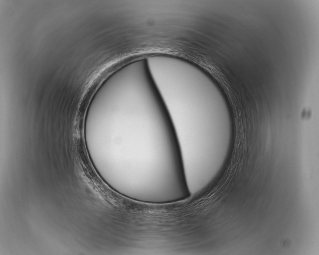 X0000113620628200909181117