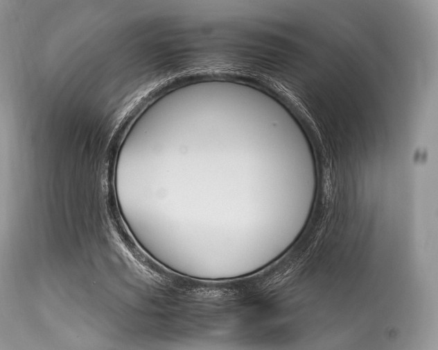 X0000113620629200909181117