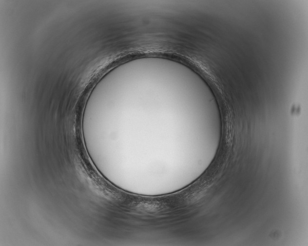 X0000113620631200909181117