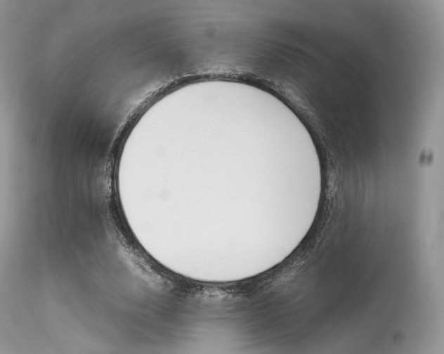 X0000113620632200909181117