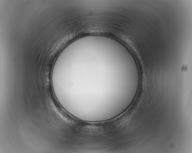 X0000113620633200909181117