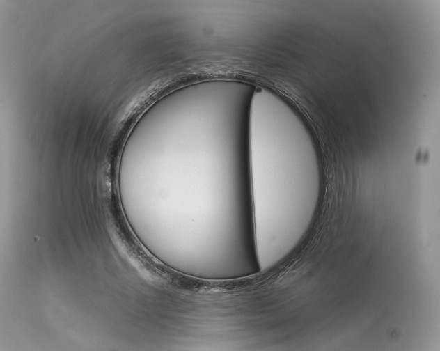 X0000113620634200909181117