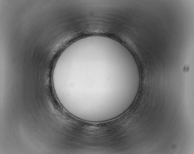 X0000113620635200909181117