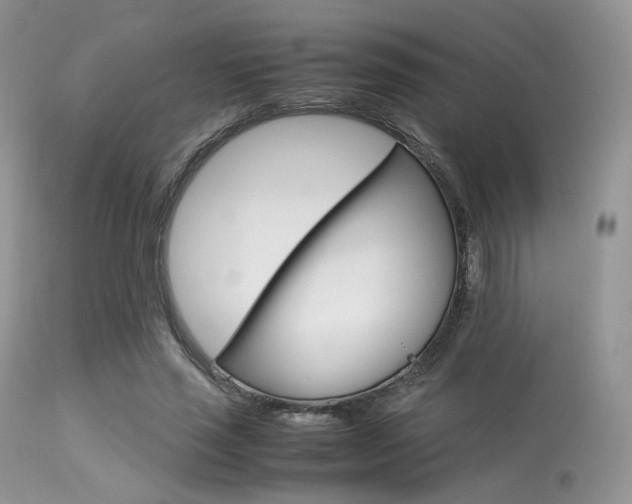 X0000113620637200909181117