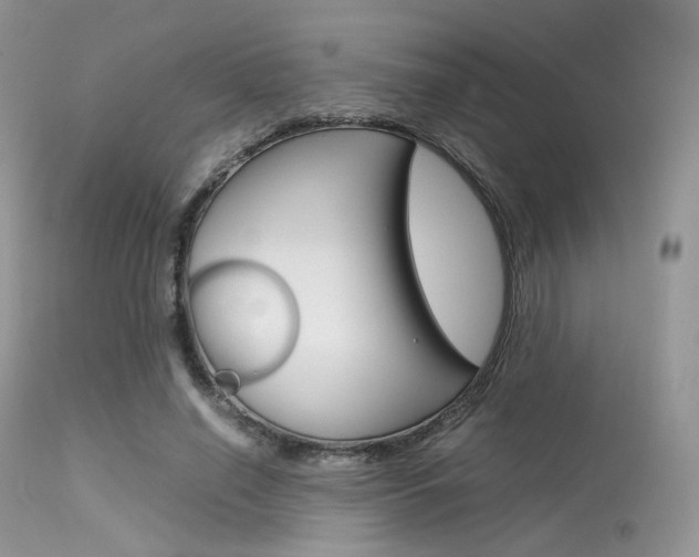 X0000113620638200909181117